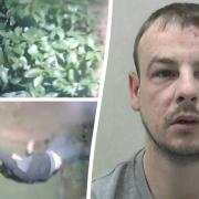 Burglar raiding mansions near Premier League stars caught hiding in bushes