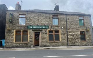 The Green Squirrel