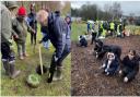 Tree planting in Blackburn's Queens Park and Corporation Park