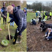 Tree planting in Blackburn's Queens Park and Corporation Park