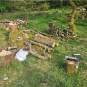 A group of people could have faced a hefty fine after lighting a barbeque in Roddlesworth Woods