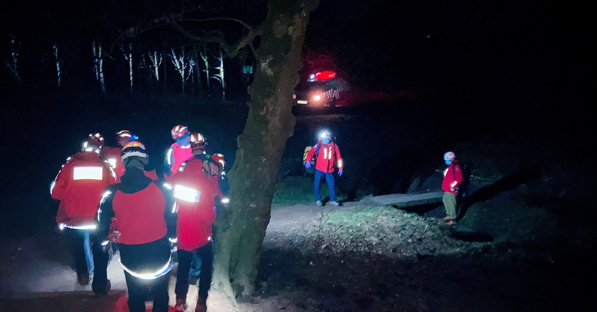 The mountain rescue team were called after a woman fell down some steps in the woods close to Pleasington 