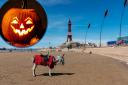 (Background) Blackpool Beach. Credit: PA. (Circle) Pumpkin. Credit: Canva.