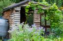 Garden shed expert Sam Jenkinson, from garden building retailer Tiger has broken down exactly what happens to your garden shed if you neglect basic upkeep.  