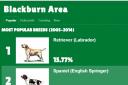 Blackburn's most popular dog breed revealed