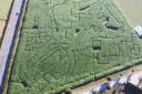 The maze will look like this one, which was previously at the farm