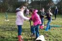 Children from Manor Road school plant the trees