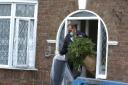 Police bring out cannabis plants from the house in Vicarage Road