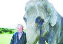 A jumbo row as circus elephant comes to Blackburn