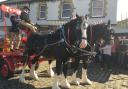 The Thwaites Shire horses were at the Ranken Arms in Hoddlesden where £703 was raised for charity