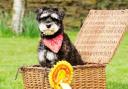 Dave with his yellow rosette