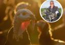 A turkey farmer in Briercliffe says a bird fly outbreak would be 