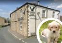 The Spread Eagle in Mellor has launched a dog-friendly menu