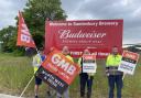 Photo from June Budweiser staff on strike in a pay dispute with their employer BBG