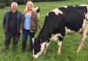 Pulford Farm Dairies, Fielding family farm, Colin and Rebecca Fielding