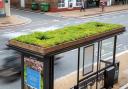Five bus shelters in Chorley will have 'living roofs' installed
