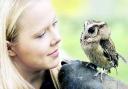 Emily Holt with Fergus the Indian collared skops owl