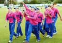 Lowerhouse were in the pink after winning last year’s Twenty20 title