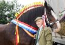 SIMPLY THE BEST: Lew Harrison with his shire mare, Cumeragh May Queen, who won show champion