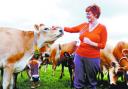 ANIMAL MAGIC: Christine James gets to know one of the cows