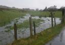 Rain water on Hollins Cross Farm site