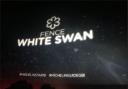The White Swan in Fence