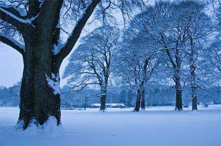 By Ray Smith. 'Witton Park on the morning after a heavy snowfall.'