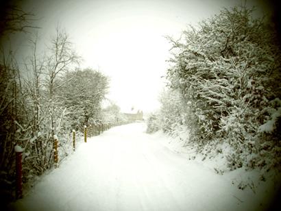 By Lee Foley. 'Snowy Sunnyhurst Woods in Darwen.'
