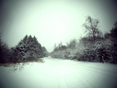 By Lee Foley. 'Snowy Sunnyhurst Woods in Darwen.'