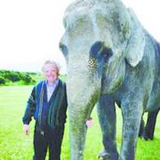 A jumbo row as circus elephant comes to Blackburn