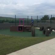 Bleakholt Animal Sanctuary has some new play pens for dogs