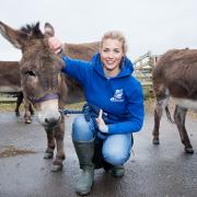 Gemma Atkinson has asked people to donate to Bleakholt Animal Sanctuary as it struggles for funds during coronavirus lockdown