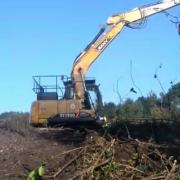 The trees were being removed from the site in Darwen on Thursday. Work has now ceased