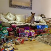 Last years donations to Santa Paws