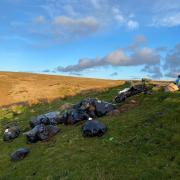 Cannabis remnants have been dumped on moorland in Briercliffe