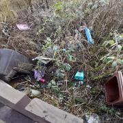The fly tipped waste behind Barbra's garden