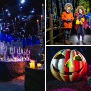 8 Halloween events taking place across the North West which you can book right now.