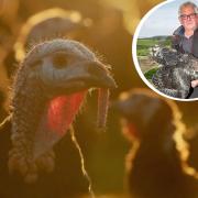John Atkinson is a turkey farmer from Briercliffe (Photo: Niall Carson/PA, Atkinson’s Turkey Farm, )