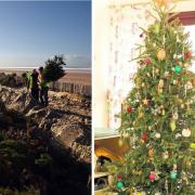 How to dispose of your real Christmas tree in Lancashire (Photo: Twitter/@FyldeSandDunes)