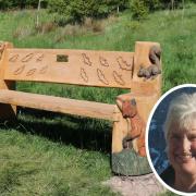 The memorial bench has been set up in Jubilee Woodland in Baxenden in memory of Shelia McVan (pictured)