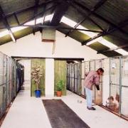 TAKING THE LEAD: Approval has been granted for a ‘dog hotel’ for the pets of guests at the Inn at Whitewell
