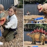 Kids can get hands on with dinosaurs and see huge beasts in all their glory at Mrs Dowson's Farm