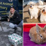 Gemma Atkinson, Bleakholt president, and some of the animals