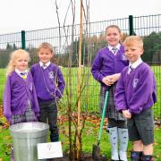 Thorneyholme School pupils check up on the rowan tree planted in memory of Her Late Majesty Queen Elizabeth II