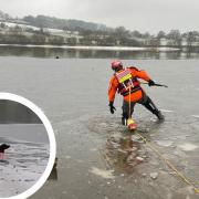 Lancashire Fire and Rescue rescue dog from Lake Burwain