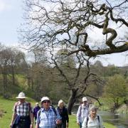 Lancashire Rail Ramblers and Community Rail Lancashire have launched more walks starting next year.