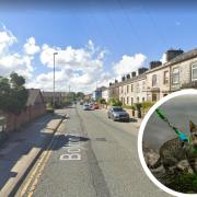 Bolton Road West, Ramsbottom. Inset photo of cat from Canva.