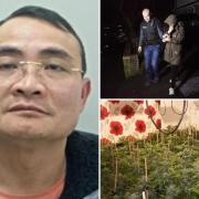 Van Dang, a woman being arrested in Darwen, and a cannabis farm in Tottington