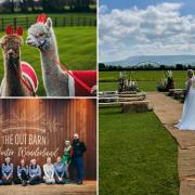 Harry Potter to Game of Thrones: Venue bringing couples fantasy weddings to life