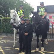 Police horses took to the streets in Rishton
